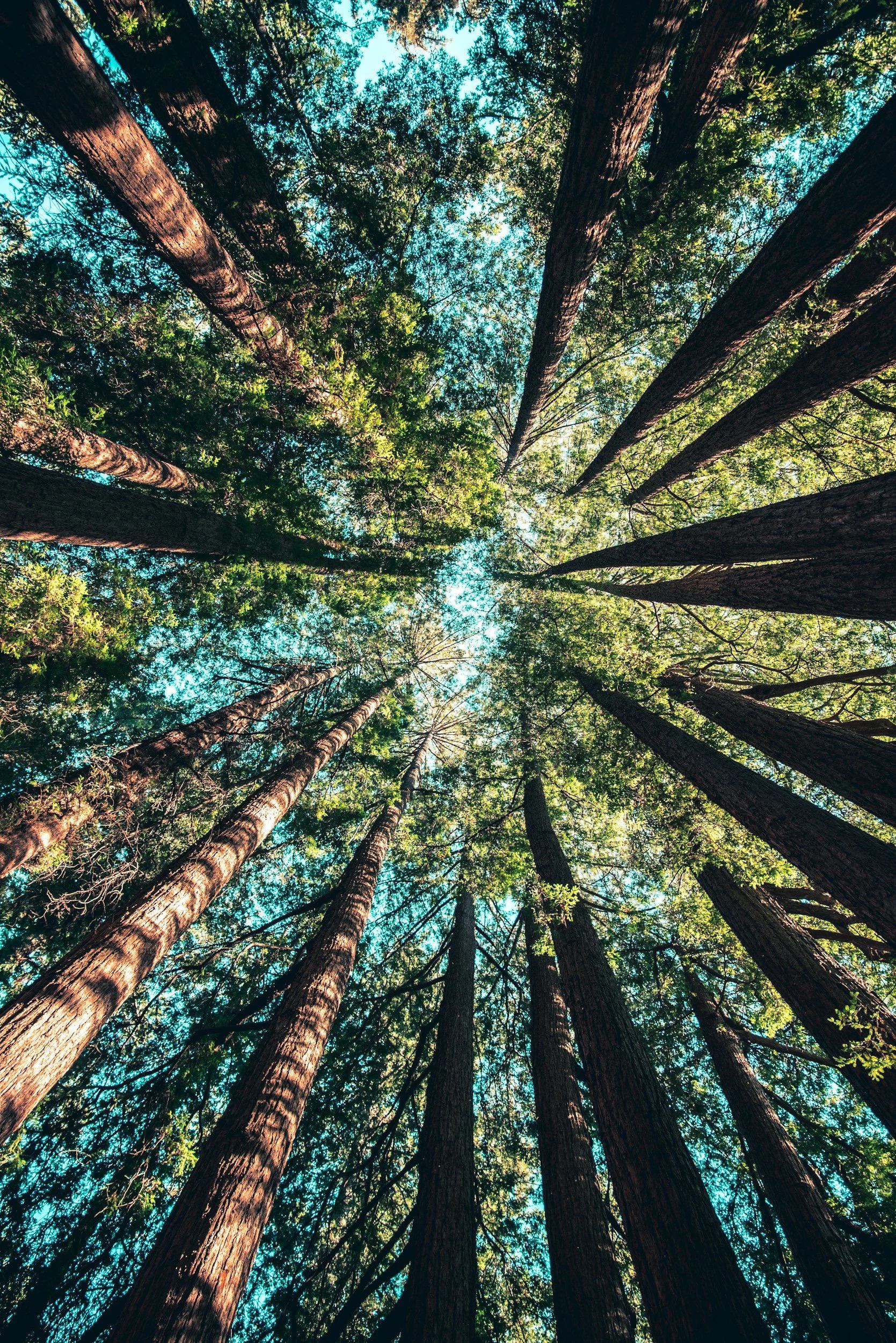 A protected natural landscape